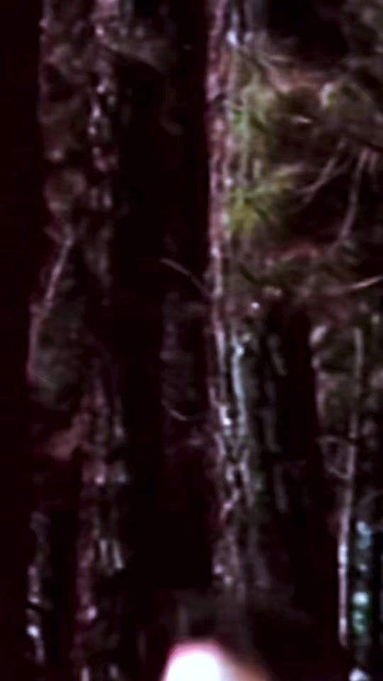 TikTok video thumbnail by user925768915