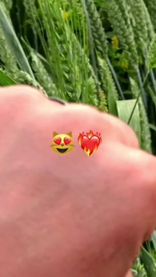 TikTok video thumbnail by bixruz4ik