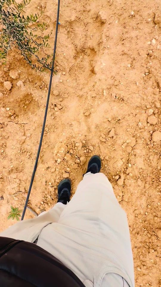 TikTok video thumbnail by dali_lancien