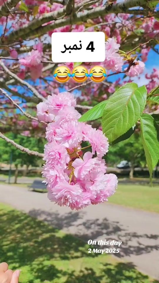 TikTok video thumbnail by irri1999
