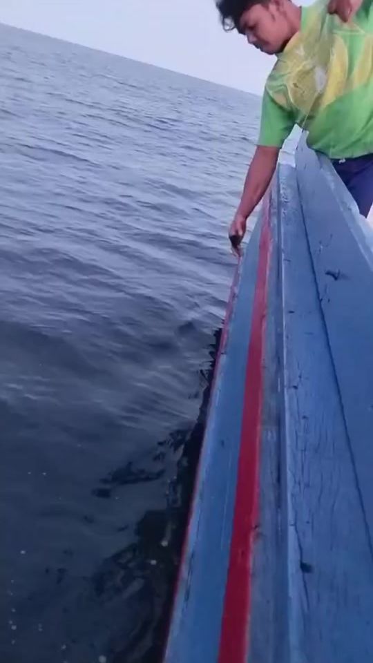 TikTok video thumbnail by fishingteeps
