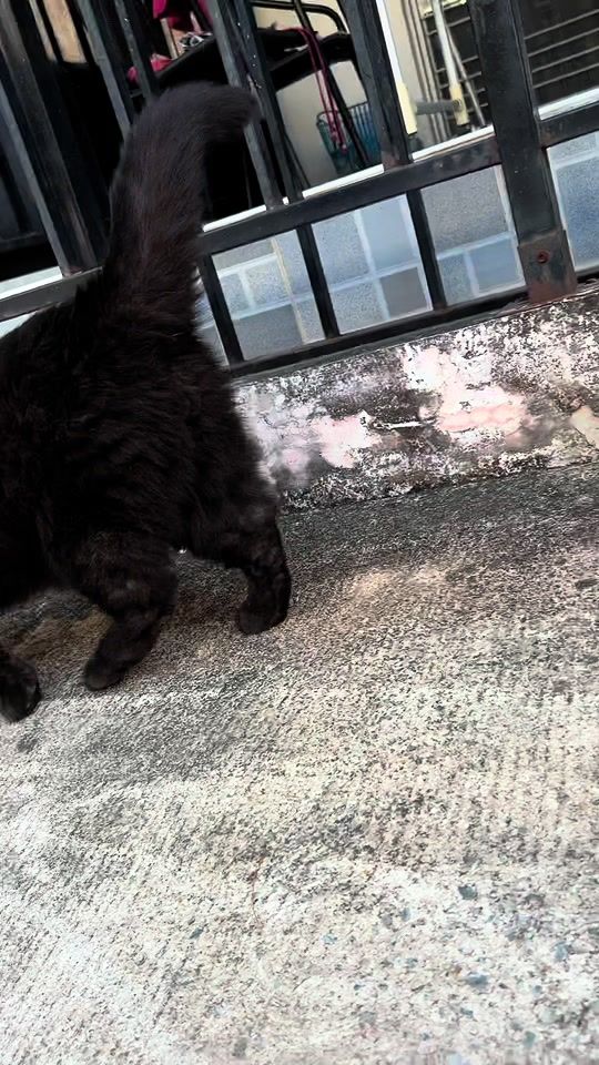 TikTok video thumbnail by kimnumchok._.jigsaw
