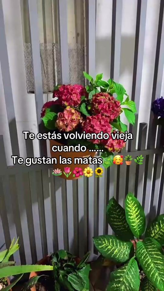 TikTok video thumbnail by fit_massi