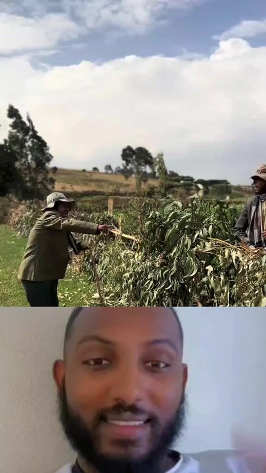 TikTok video thumbnail by qimamiitaasu