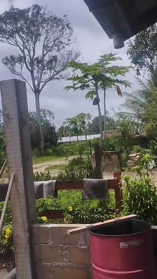 TikTok video thumbnail by hardysamat