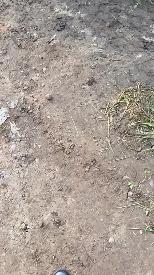 TikTok video thumbnail by ignitius50