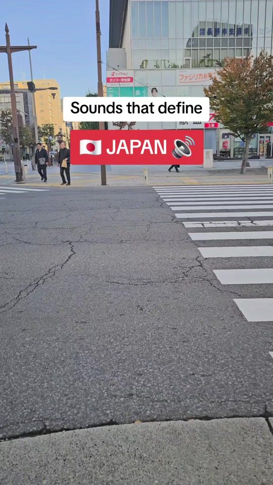 TikTok video thumbnail by japan_vision_
