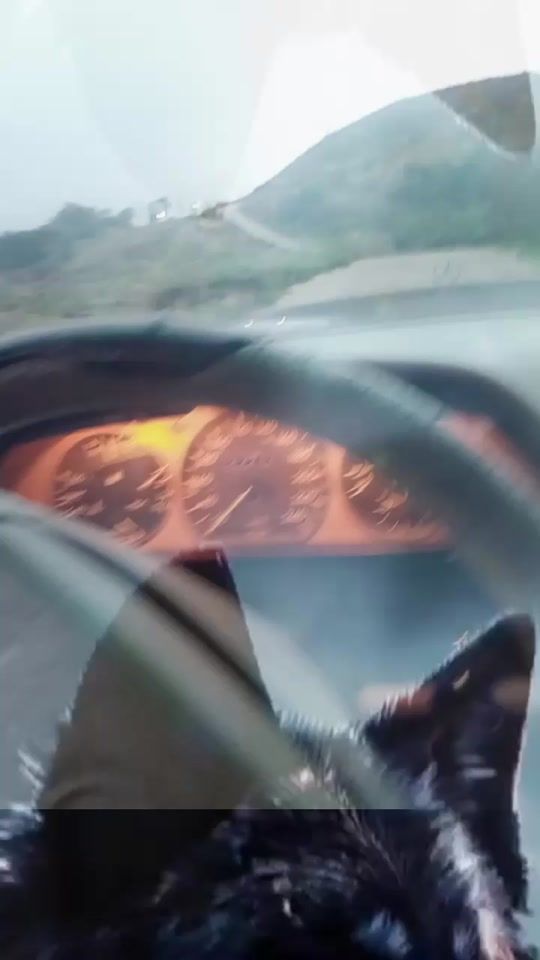 TikTok video thumbnail by user71498913