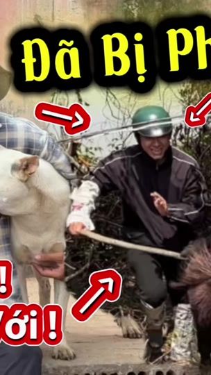 TikTok video thumbnail by tam23021997