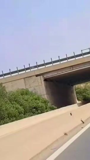 TikTok video thumbnail by khedimsihem.7