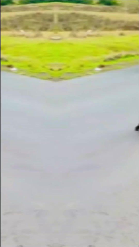TikTok video thumbnail by kininii12