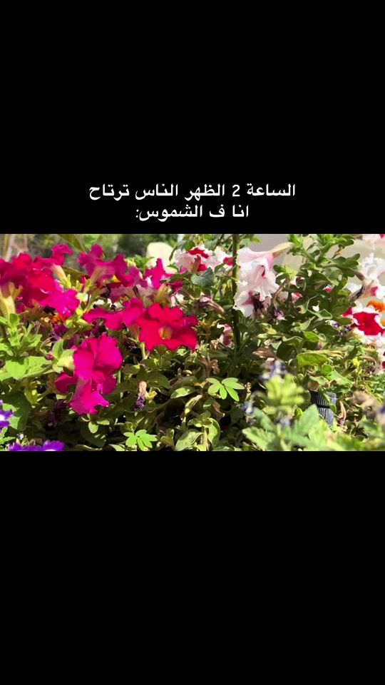 TikTok video thumbnail by iabeer974