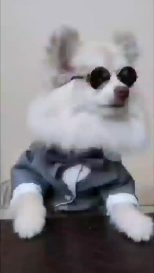 TikTok video thumbnail by tamyislove