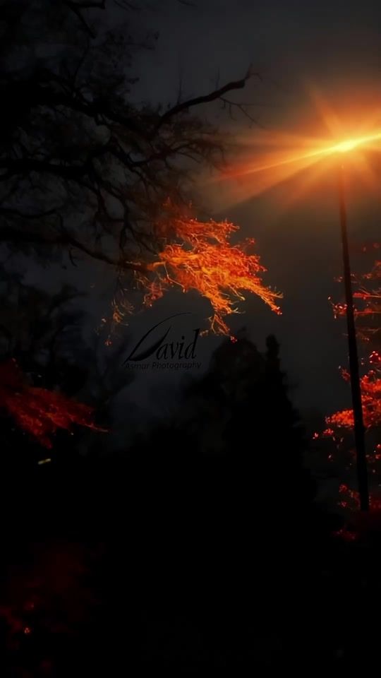 TikTok video thumbnail by asmar_david82