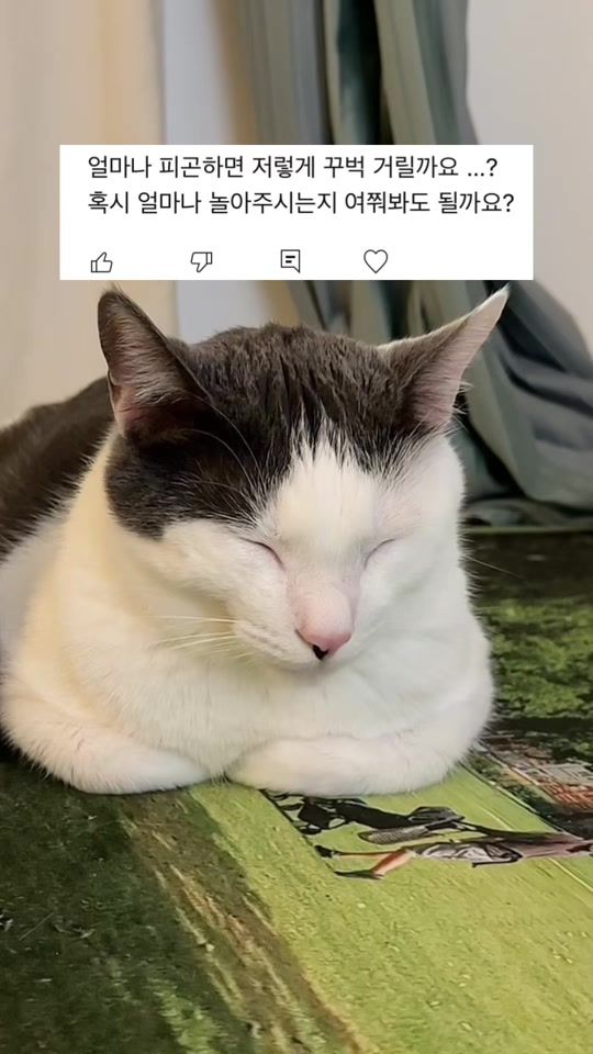TikTok video thumbnail by zipsaholic