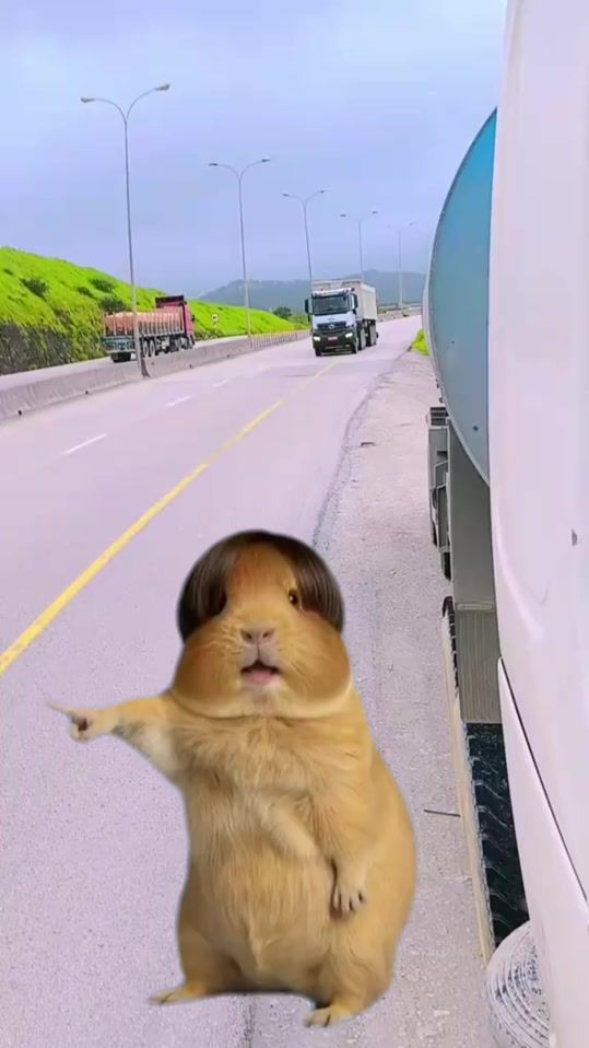 TikTok video thumbnail by rajpoot.__.official