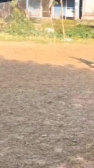 TikTok video thumbnail by rihanhaque07