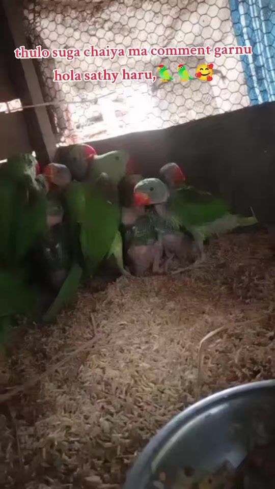 TikTok video thumbnail by sirjanatharuff