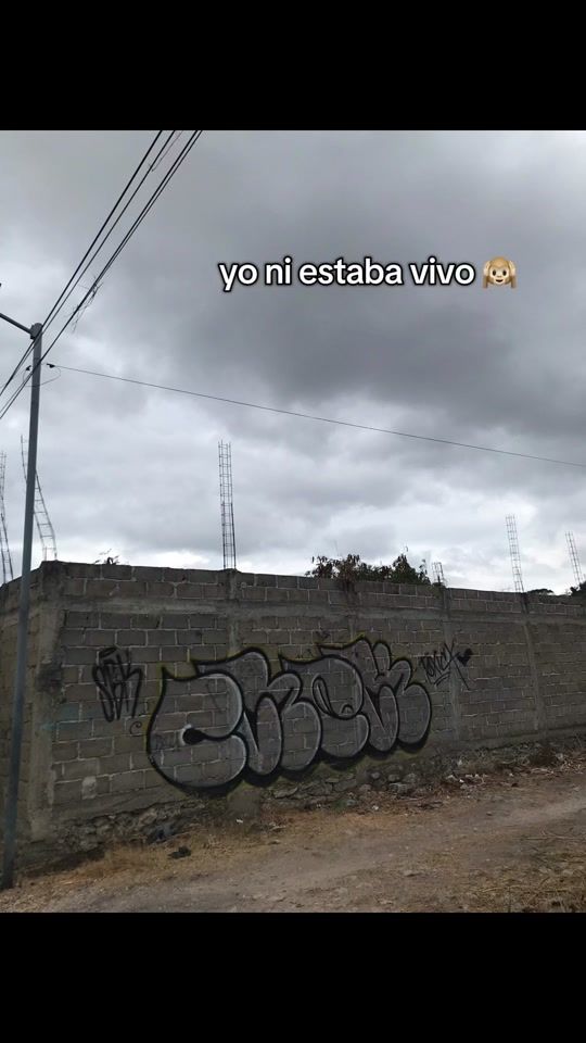 TikTok video thumbnail by cruz_oda