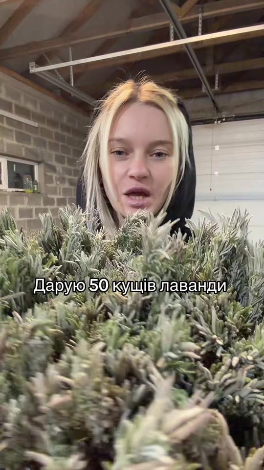TikTok video thumbnail by katyarose52