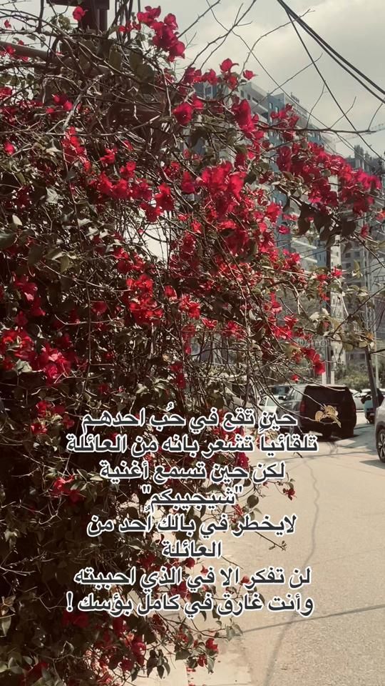 TikTok video thumbnail by 0.jno1