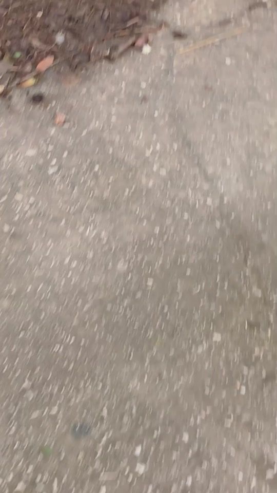 TikTok video thumbnail by pitbul5012