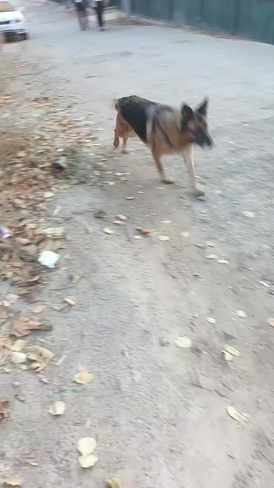 TikTok video thumbnail by maksetpolatov
