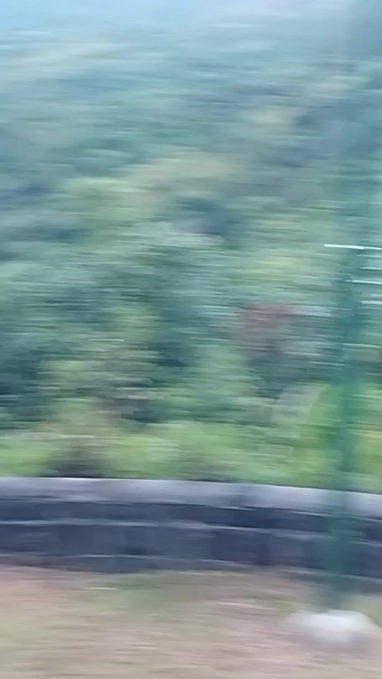 TikTok video thumbnail by krishanbukory