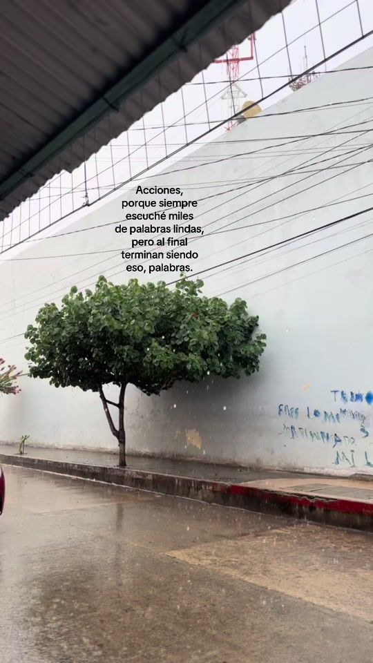 TikTok video thumbnail by ghaby971224