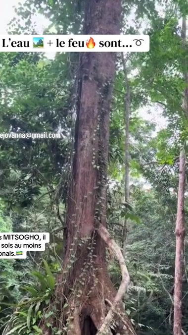 TikTok video thumbnail by moganguemingoguejovanny