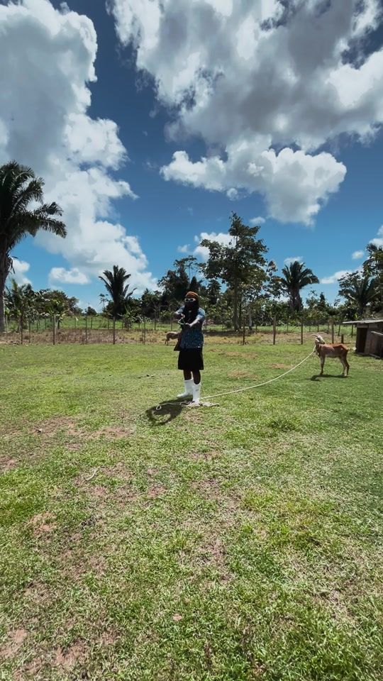 TikTok video thumbnail by passambze