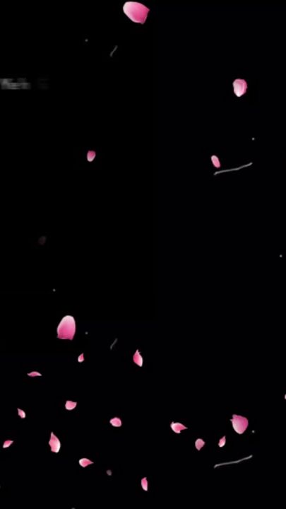 TikTok video thumbnail by ss0en