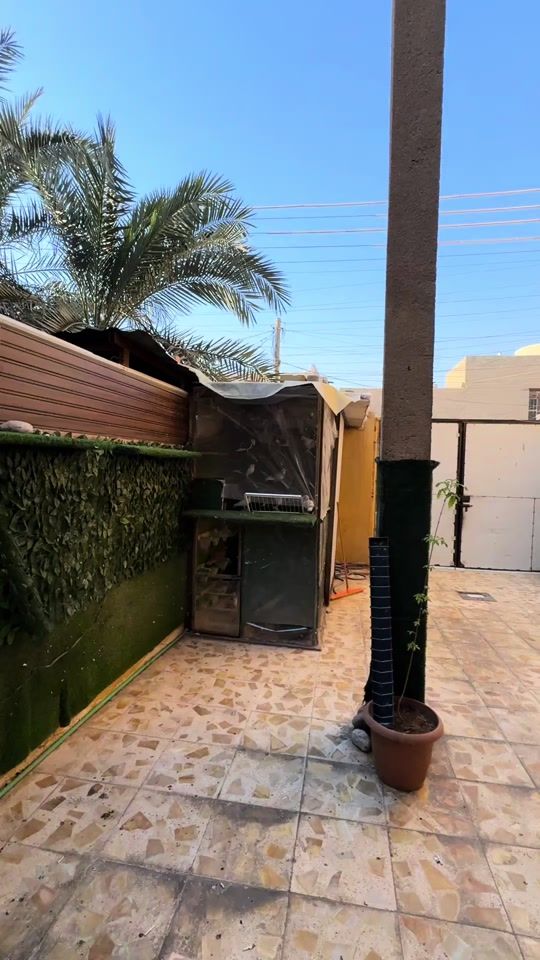 TikTok video thumbnail by khalidpigeon