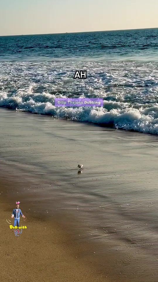 TikTok video thumbnail by dillytk_official
