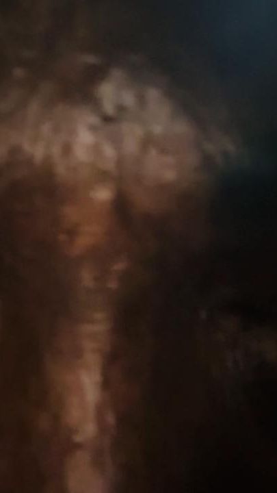 TikTok video thumbnail by misstthembs