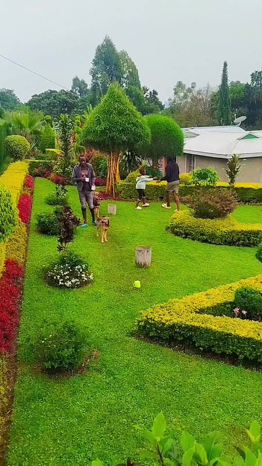 TikTok video thumbnail by hillaryrugut