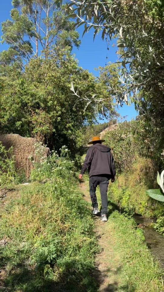 TikTok video thumbnail by david.abarca.2
