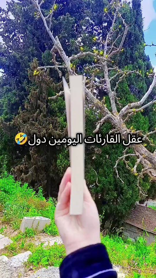 TikTok video thumbnail by roladraidi