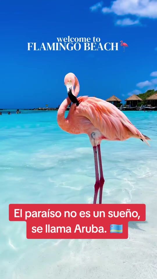 TikTok video thumbnail by s.g.tour