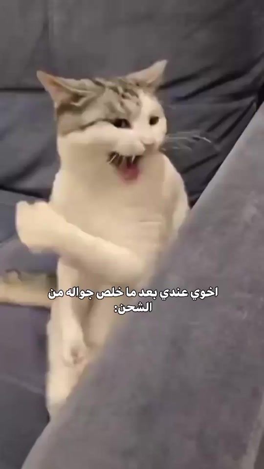 TikTok video thumbnail by 8_.quinn