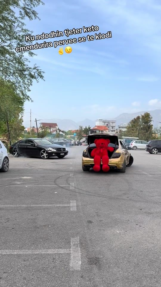 TikTok video thumbnail by klodi_flowers.tir