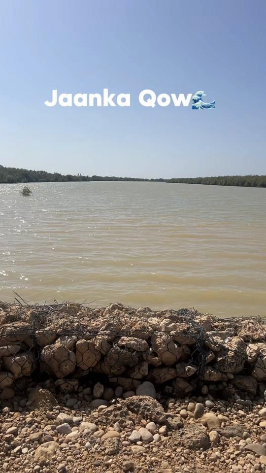 TikTok video thumbnail by anushadam