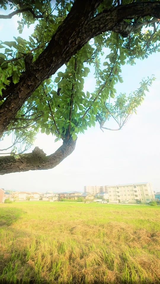 TikTok video thumbnail by hivi_pic