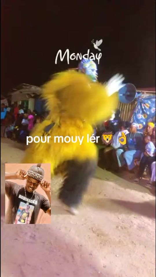 TikTok video thumbnail by niankajuniorlion0
