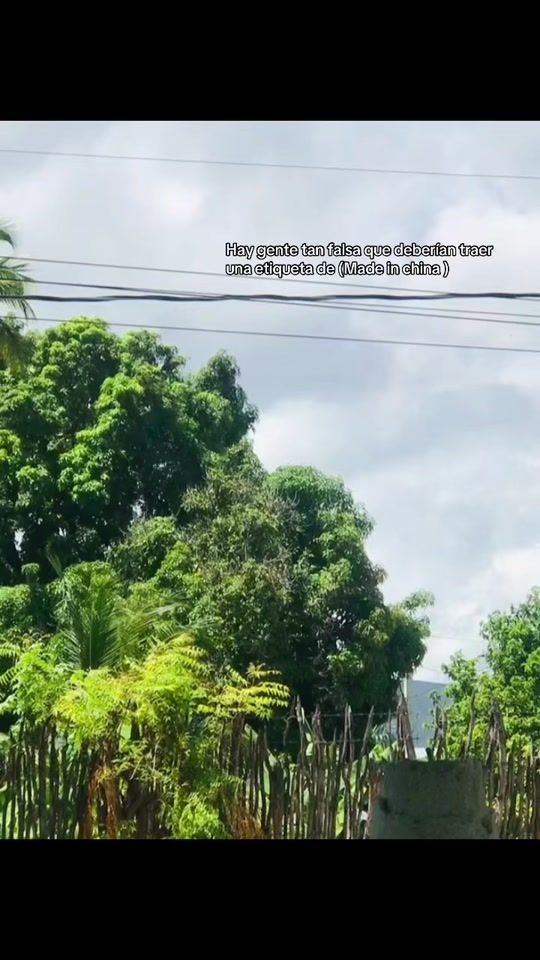 TikTok video thumbnail by geyser005