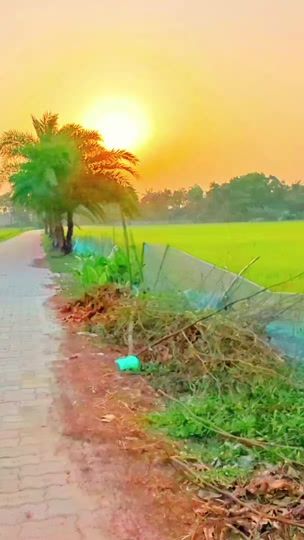 TikTok video thumbnail by tik.tokbd1