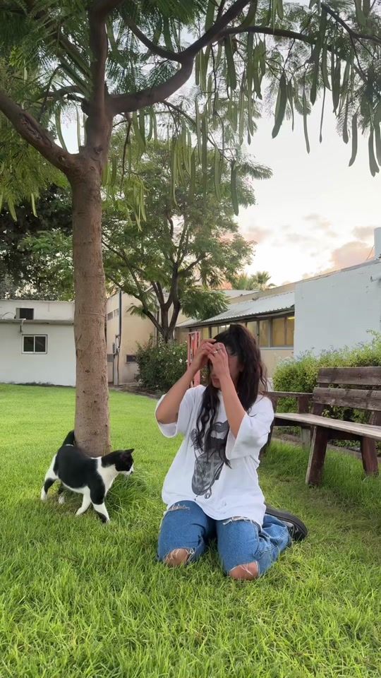 TikTok video thumbnail by jasminmoallem