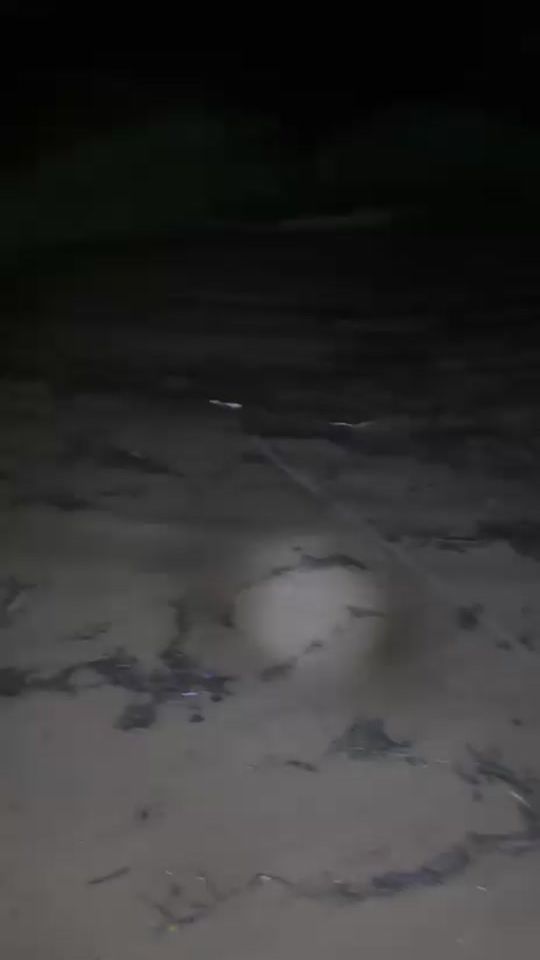 TikTok video thumbnail by saqlainjutt1230000