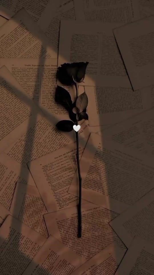 TikTok video thumbnail by rolitass_109