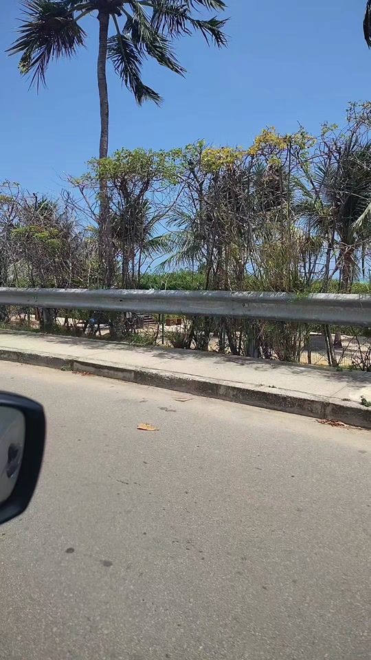 TikTok video thumbnail by leila.pinheiro492